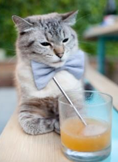 中国混合3米双人跳板决赛成绩引关注,3米双人跳板冠军