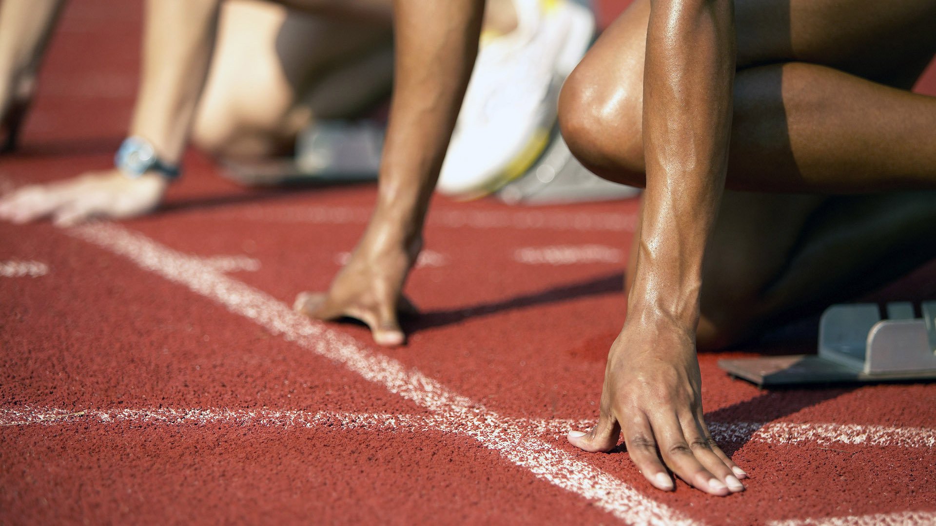 中国女排公布最新技术统计数据,中国女排业绩