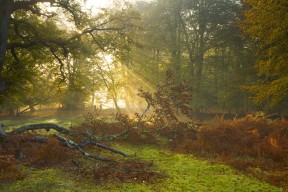 中国足球联赛制定青训成果考核激励制度，中国足协青训大纲精神解读