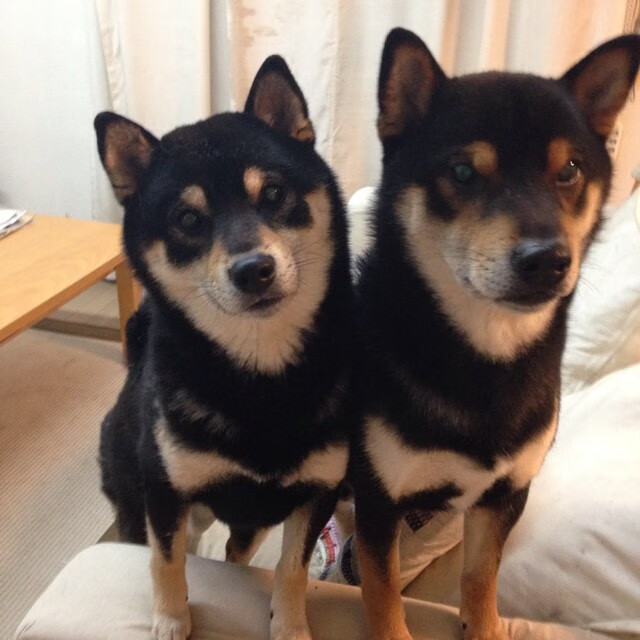 “东部新区定向赛场：徒步越野与智慧导航的结合”