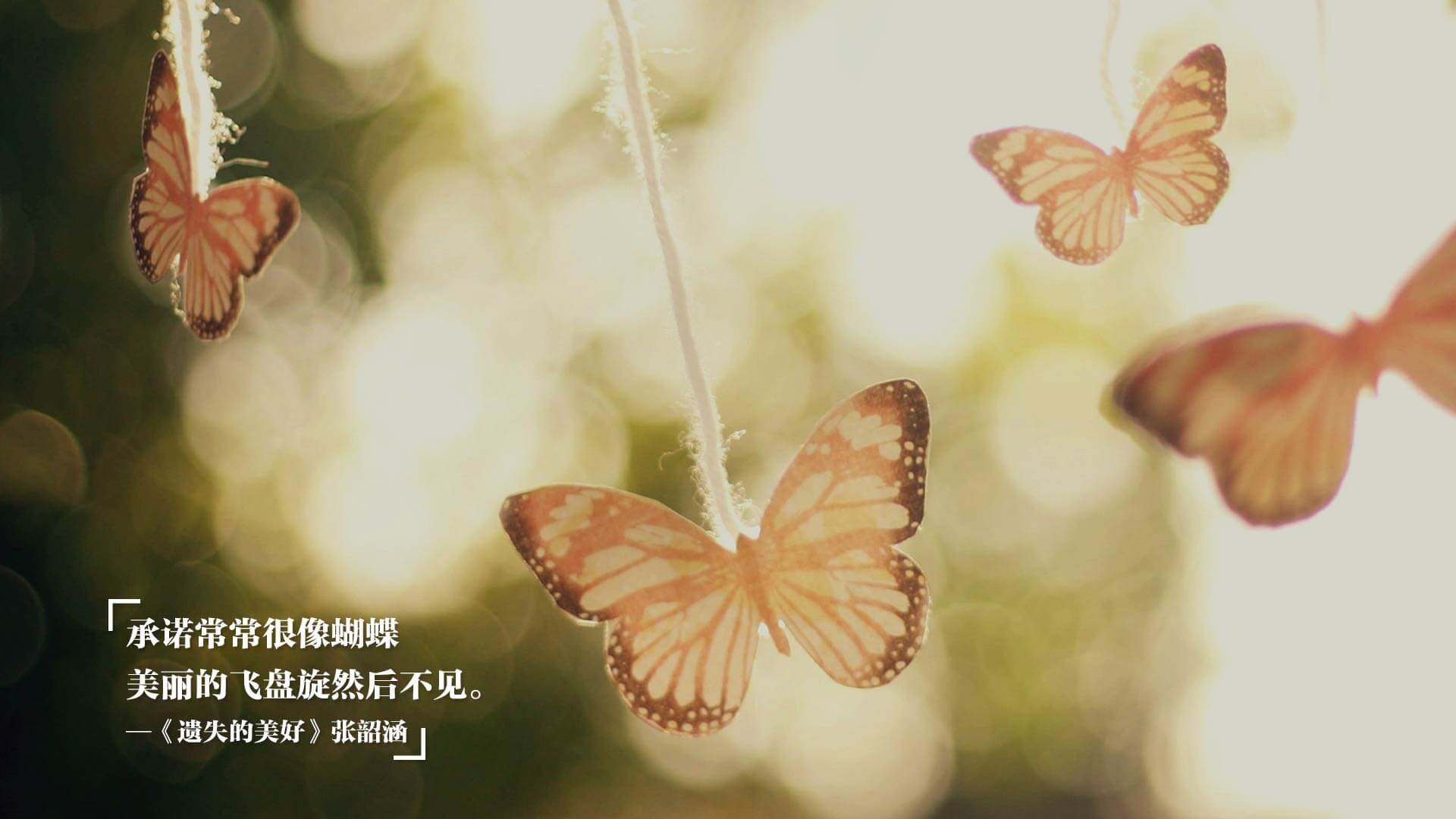 世界杯中国女足逆袭 数据回顾展现潜力，中国女足世界杯最佳战绩