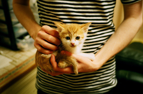 国家队集训地选址影响球员状态恢复，国家队集训队