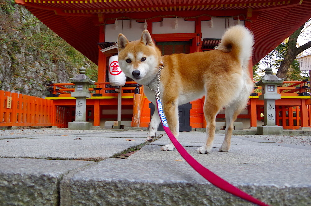 国际热身赛U23国足逆袭 球员精神振奋,2020国足热身赛