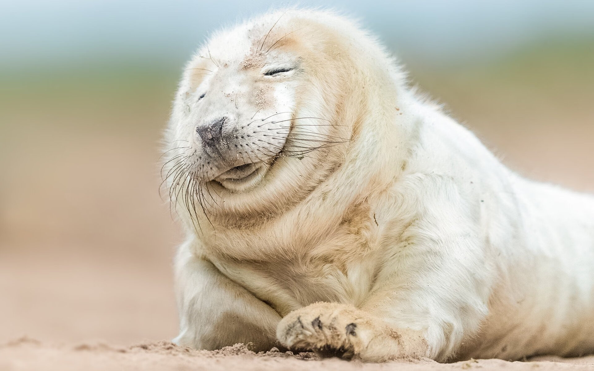 外教与本土教练融合难度分析,外籍教练与中国教练